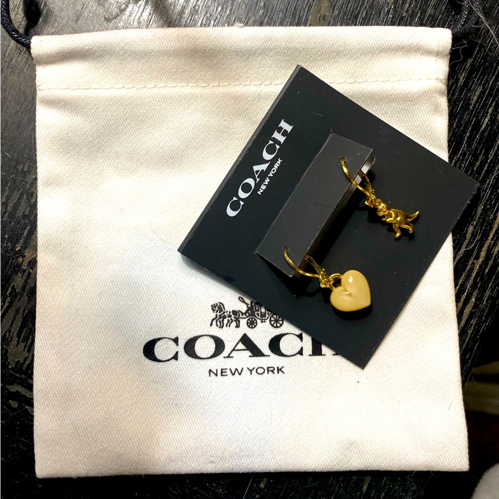 Heart And Rexy Mismatch Earrings